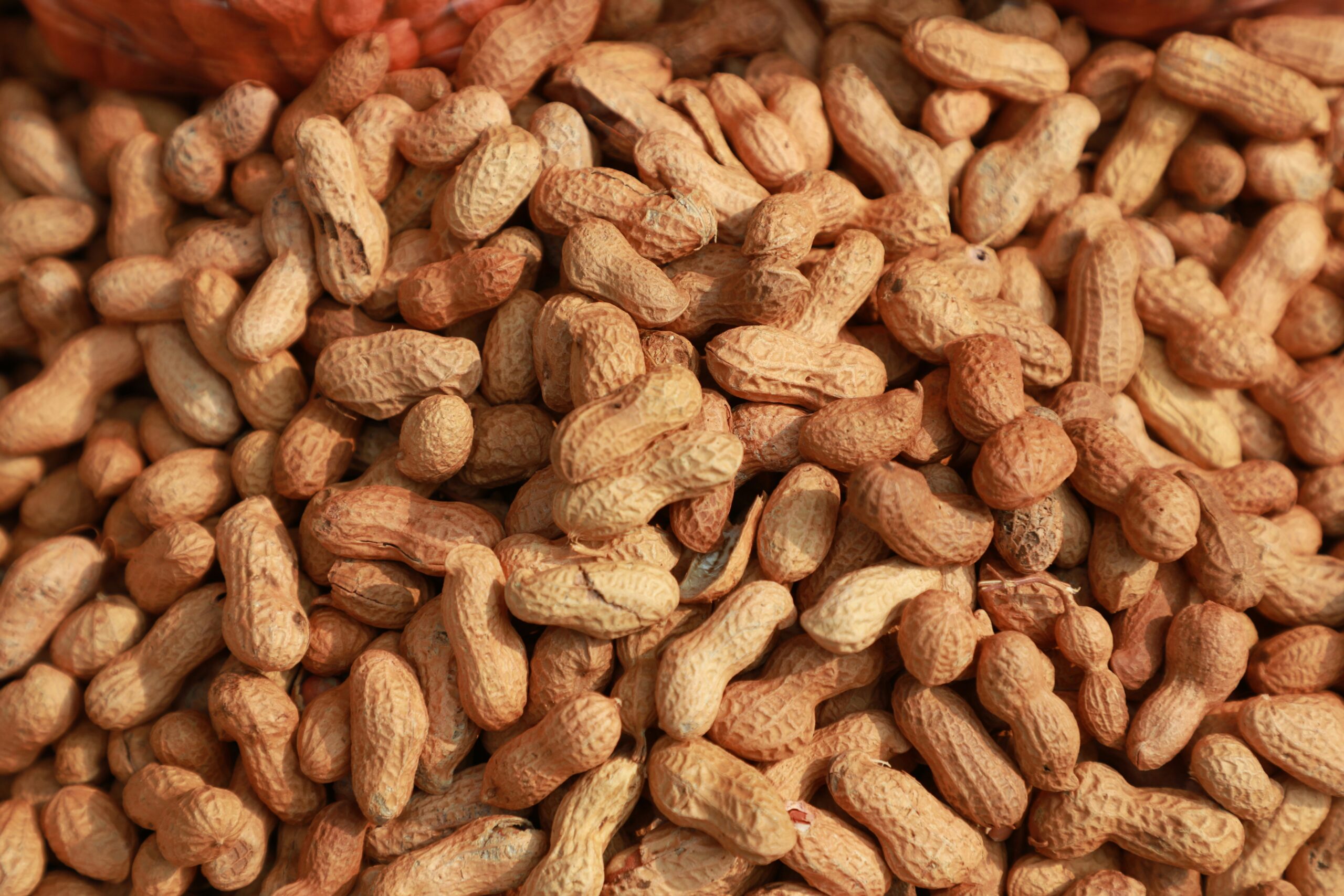 Peanuts